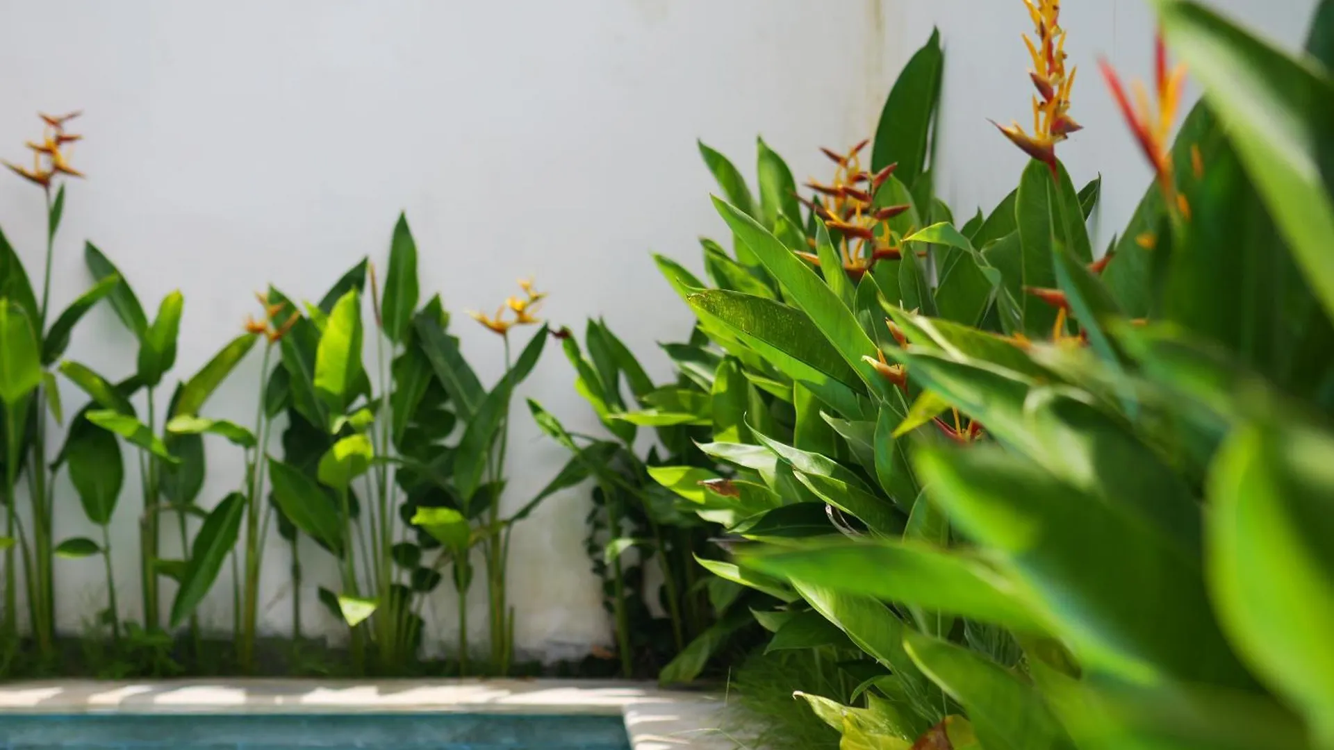 Ken Ken Guest House Seminyak
